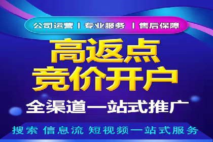 推广竞价策略优化：借鉴成功案例实现精准营销